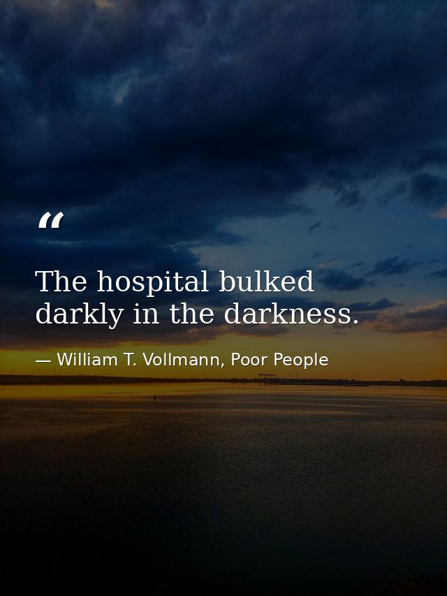 The hospital bulked darkly in the darkness. — William T. Vollmann, Poor People