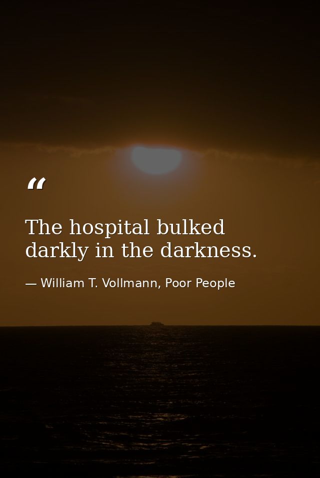 The hospital bulked darkly in the darkness. — William T. Vollmann, Poor People