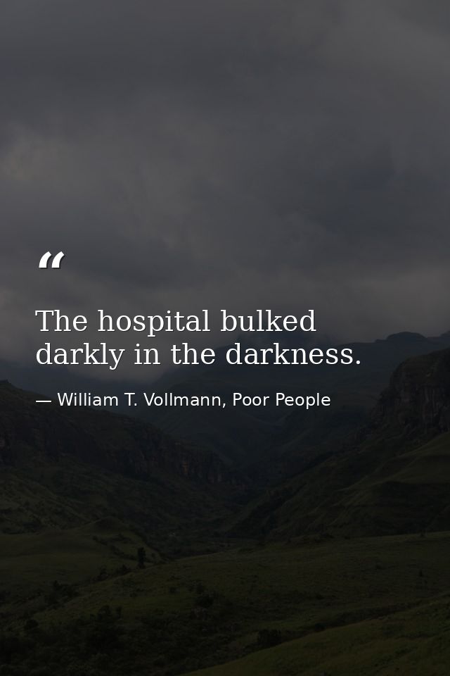 The hospital bulked darkly in the darkness. — William T. Vollmann, Poor People