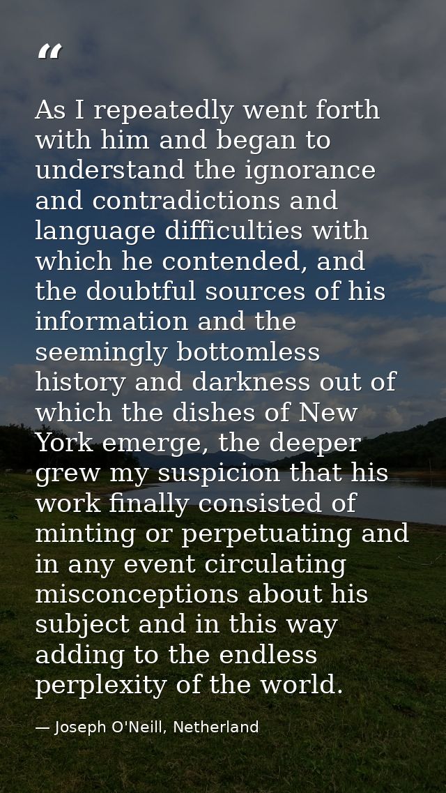 As I repeatedly went forth with him and began to understand the ignorance and contradictions and language difficulties w — Joseph O'Neill, Netherland