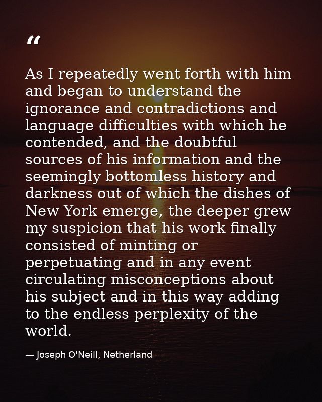 As I repeatedly went forth with him and began to understand the ignorance and contradictions and language difficulties w — Joseph O'Neill, Netherland