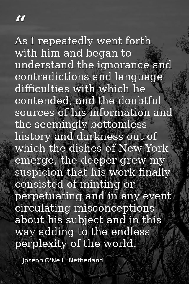 As I repeatedly went forth with him and began to understand the ignorance and contradictions and language difficulties w — Joseph O'Neill, Netherland