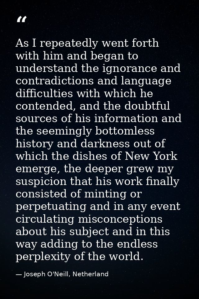 As I repeatedly went forth with him and began to understand the ignorance and contradictions and language difficulties w — Joseph O'Neill, Netherland