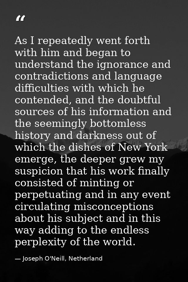 As I repeatedly went forth with him and began to understand the ignorance and contradictions and language difficulties w — Joseph O'Neill, Netherland