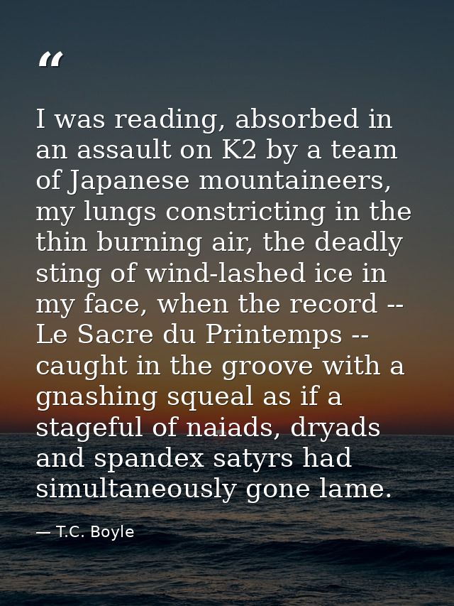I was reading, absorbed in an assault on K2 by a team of Japanese mountaineers, my lungs constricting in the thin burnin — T.C. Boyle