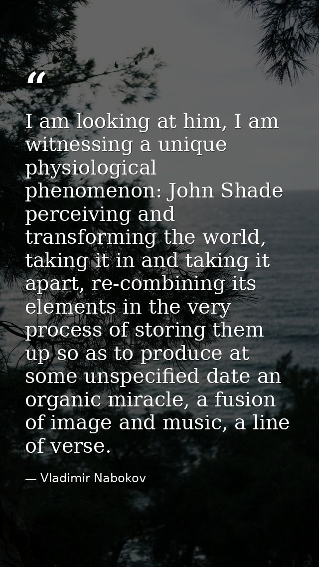 I am looking at him, I am witnessing a unique physiological phenomenon: John Shade perceiving and transforming the world — Vladimir Nabokov