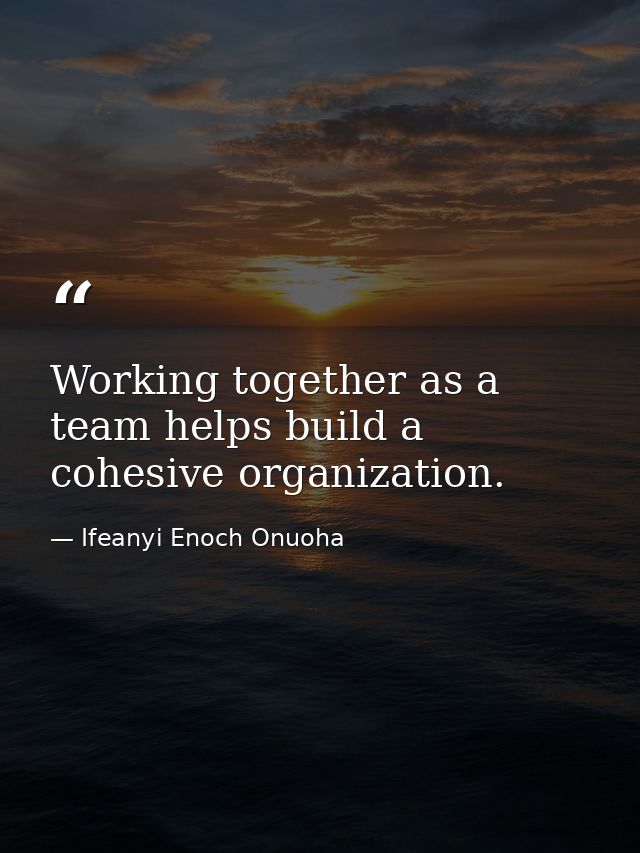 Working together as a team helps build a cohesive organization. — Ifeanyi Enoch Onuoha
