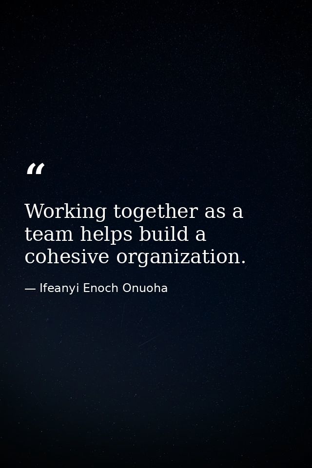Working together as a team helps build a cohesive organization. — Ifeanyi Enoch Onuoha