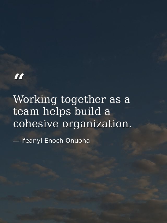 Working together as a team helps build a cohesive organization. — Ifeanyi Enoch Onuoha