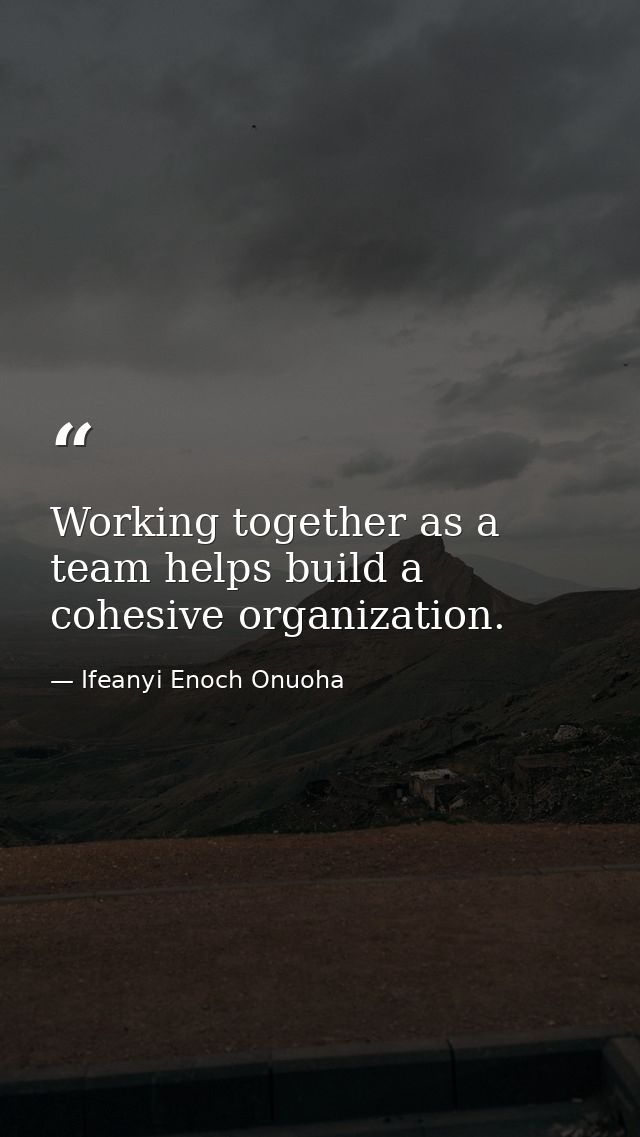 Working together as a team helps build a cohesive organization. — Ifeanyi Enoch Onuoha