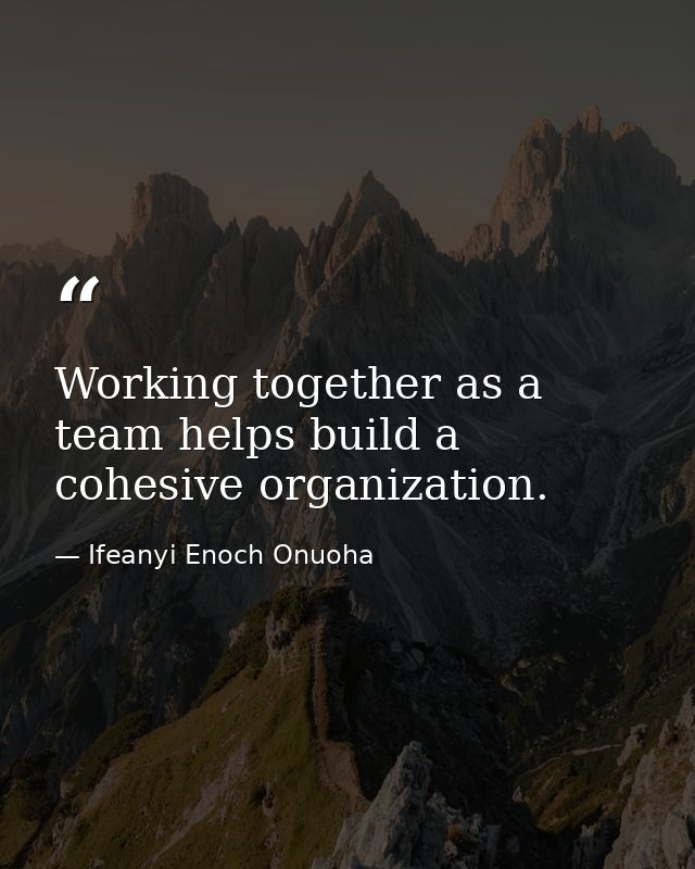 Working together as a team helps build a cohesive organization. — Ifeanyi Enoch Onuoha
