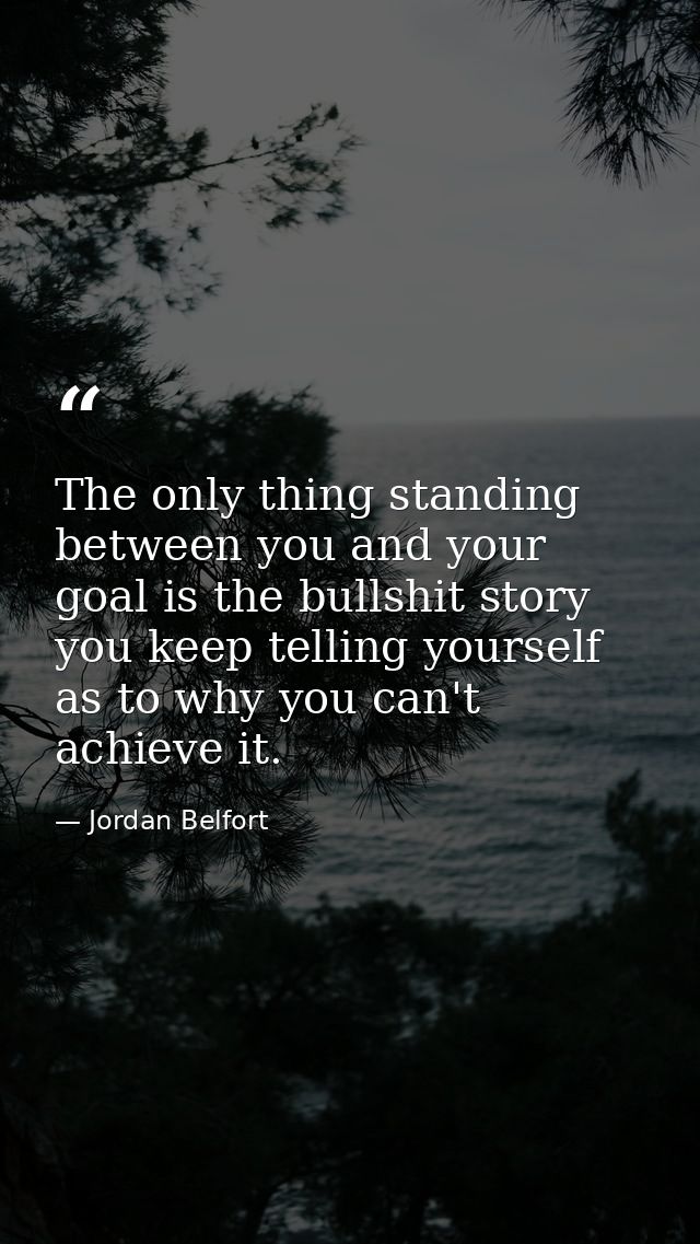 The only thing standing between you and your goal is the bullshit story you keep telling yourself as to why you can't ac — Jordan Belfort