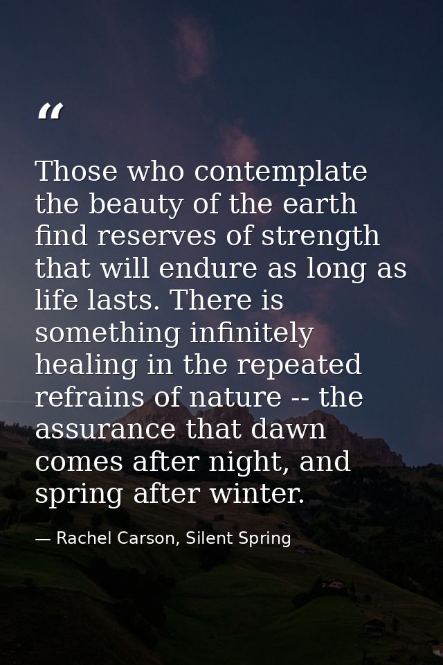 Those who contemplate the beauty of the earth find reserves of strength that will endure as long as life lasts. There is — Rachel Carson, Silent Spring