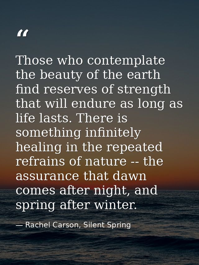 Those who contemplate the beauty of the earth find reserves of strength that will endure as long as life lasts. There is — Rachel Carson, Silent Spring