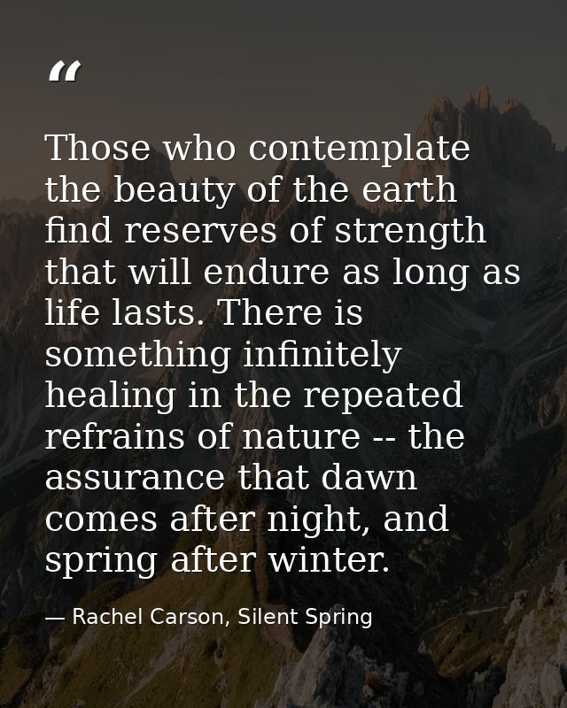 Those who contemplate the beauty of the earth find reserves of strength that will endure as long as life lasts. There is — Rachel Carson, Silent Spring