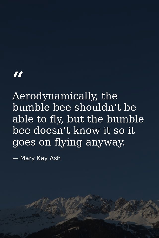 Aerodynamically, the bumble bee shouldn't be able to fly, but the bumble bee doesn't know it so it goes on flying anyway — Mary Kay Ash
