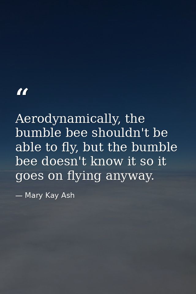 Aerodynamically, the bumble bee shouldn't be able to fly, but the bumble bee doesn't know it so it goes on flying anyway — Mary Kay Ash