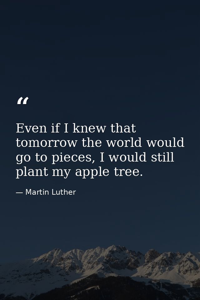 Even if I knew that tomorrow the world would go to pieces, I would still plant my apple tree. — Martin Luther