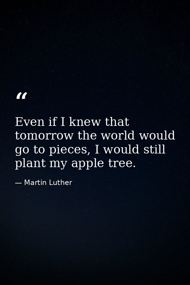 Even if I knew that tomorrow the world would go to pieces, I would still plant my apple tree. — Martin Luther