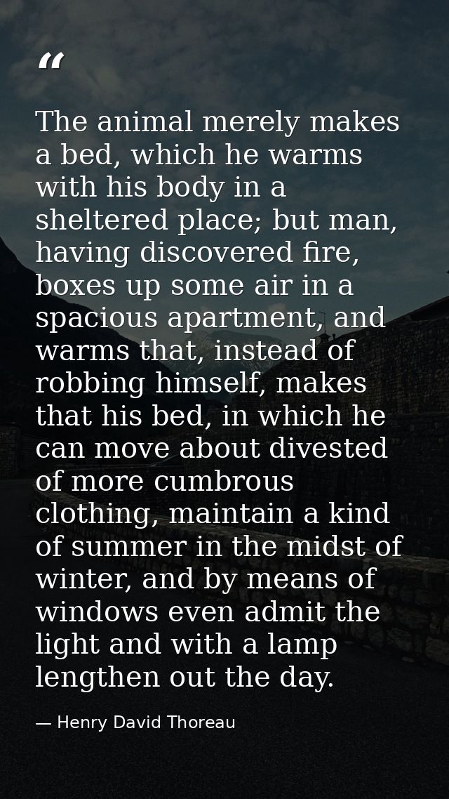 The animal merely makes a bed, which he warms with his body in a sheltered place; but man, having discovered fire, boxes — Henry David Thoreau