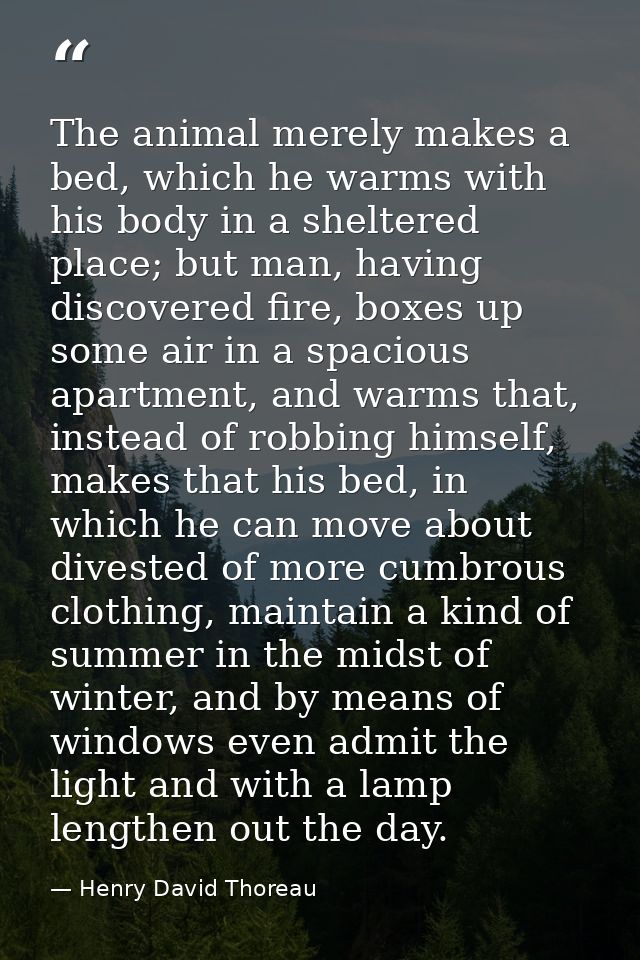 The animal merely makes a bed, which he warms with his body in a sheltered place; but man, having discovered fire, boxes — Henry David Thoreau