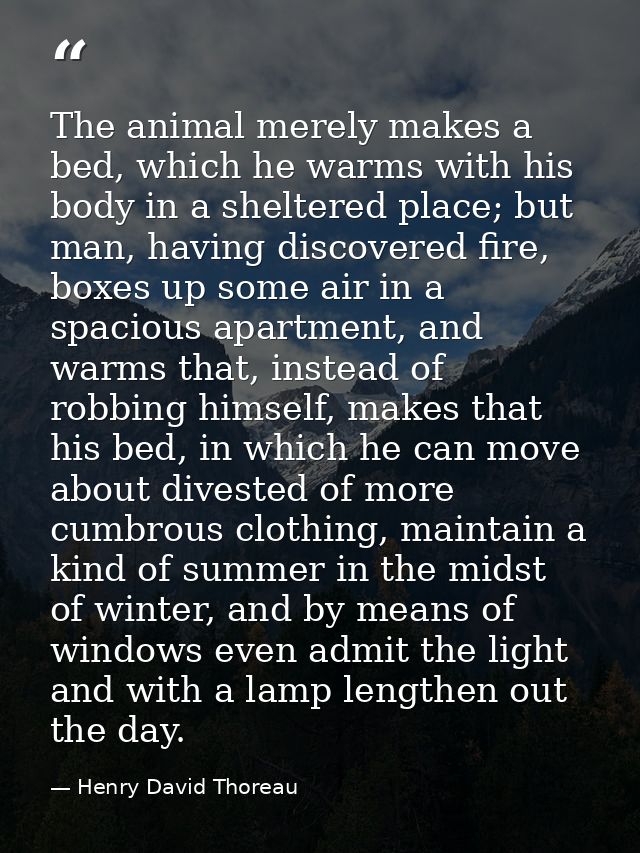 The animal merely makes a bed, which he warms with his body in a sheltered place; but man, having discovered fire, boxes — Henry David Thoreau