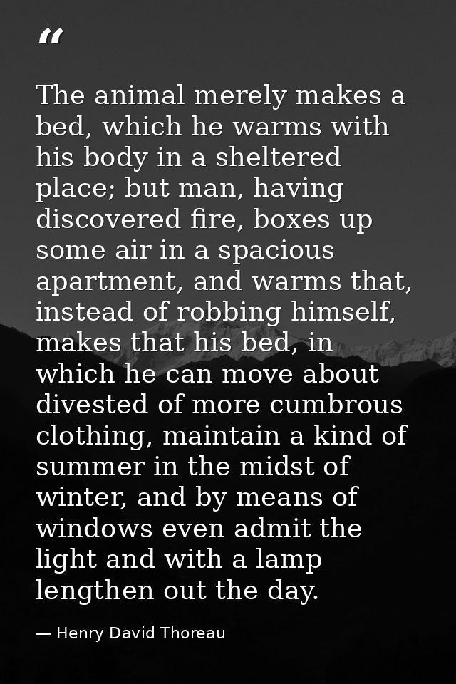 The animal merely makes a bed, which he warms with his body in a sheltered place; but man, having discovered fire, boxes — Henry David Thoreau