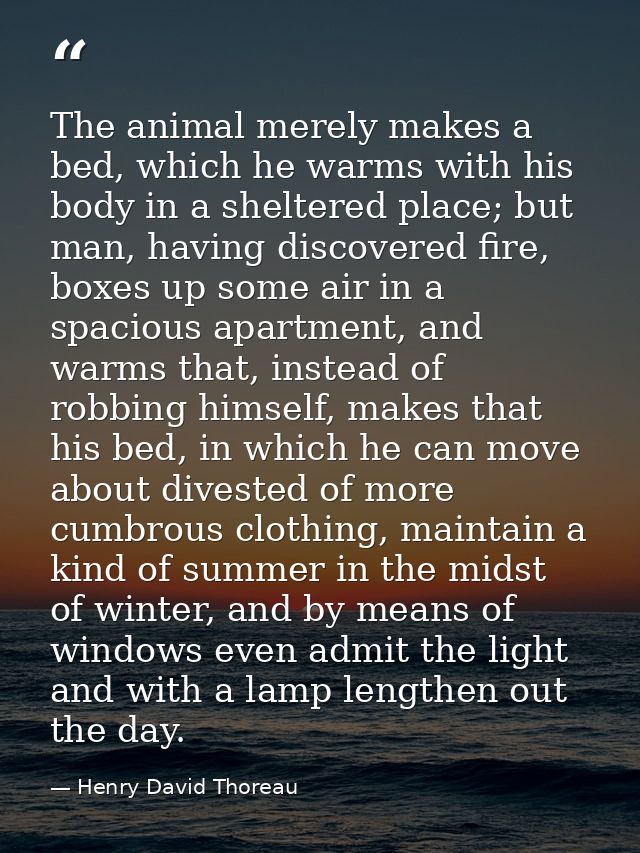 The animal merely makes a bed, which he warms with his body in a sheltered place; but man, having discovered fire, boxes — Henry David Thoreau