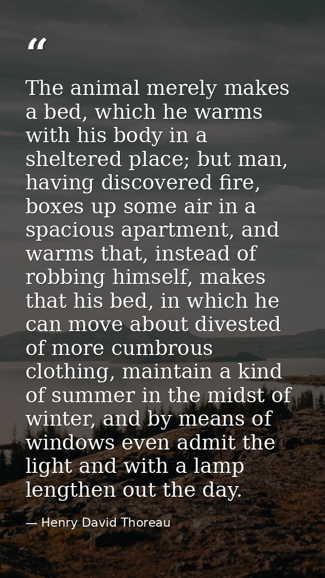 The animal merely makes a bed, which he warms with his body in a sheltered place; but man, having discovered fire, boxes — Henry David Thoreau