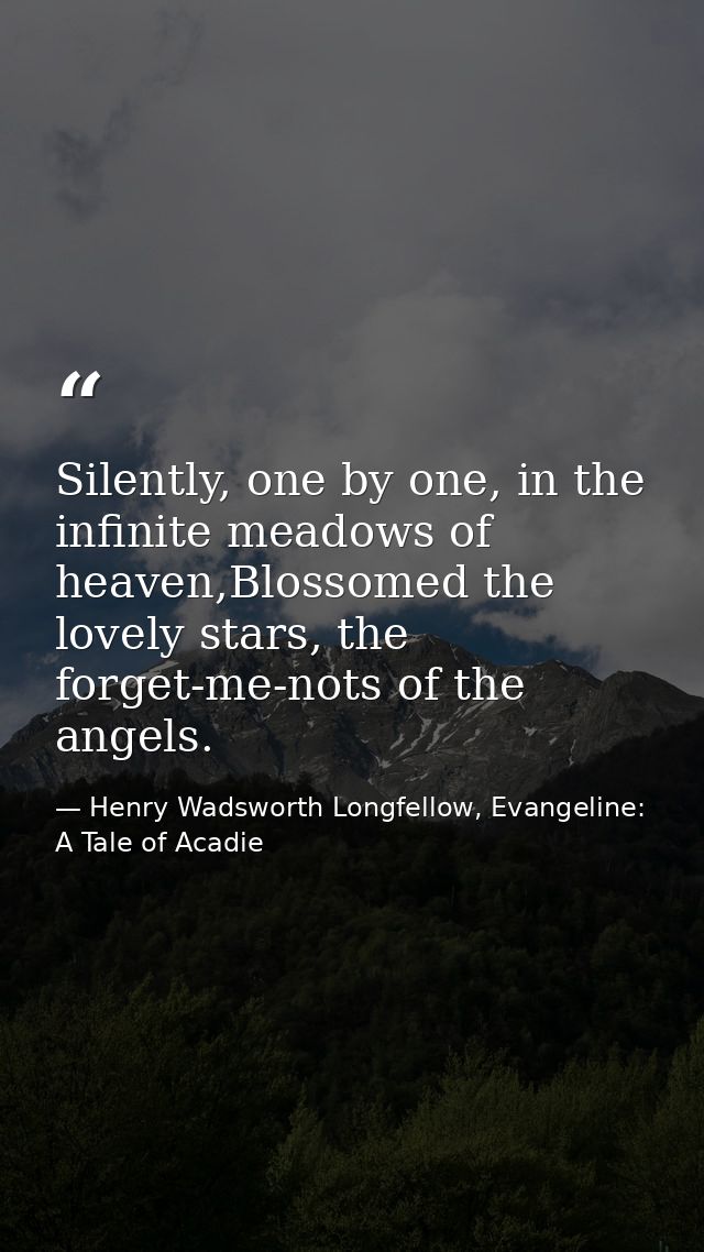 Silently, one by one, in the infinite meadows of heaven,Blossomed the lovely stars, the forget-me-nots of the angels. — Henry Wadsworth Longfellow, Evangeline: A Tale of Acadie