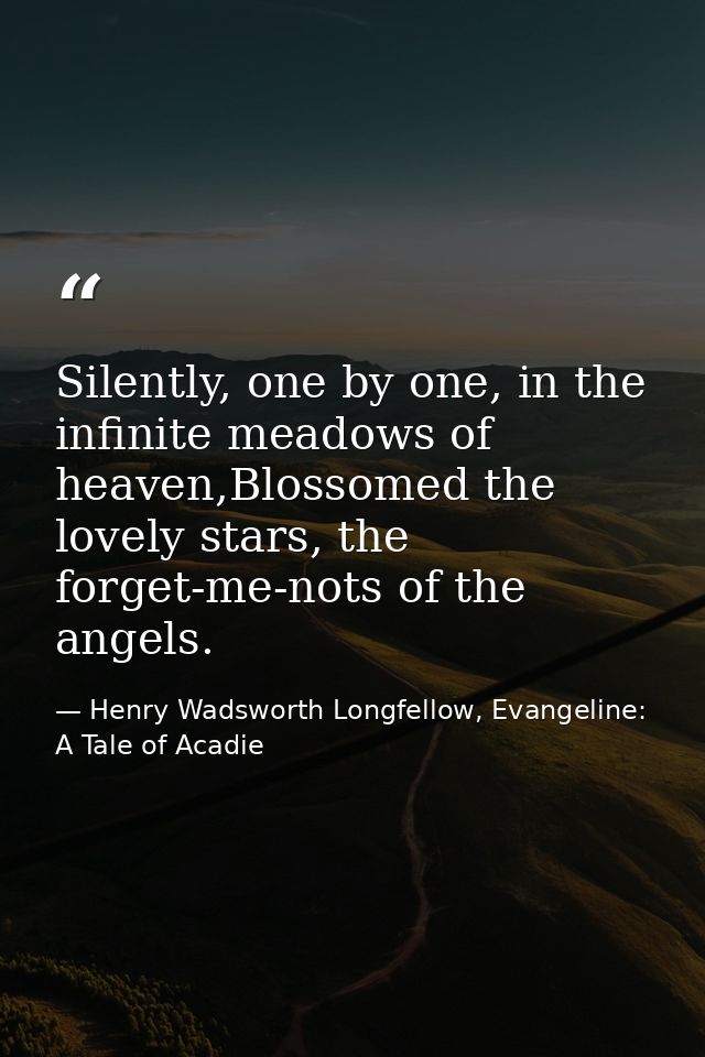Silently, one by one, in the infinite meadows of heaven,Blossomed the lovely stars, the forget-me-nots of the angels. — Henry Wadsworth Longfellow, Evangeline: A Tale of Acadie
