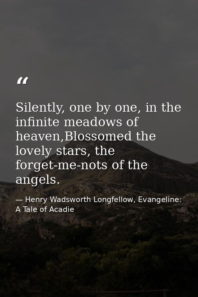 Silently, one by one, in the infinite meadows of heaven,Blossomed the lovely stars, the forget-me-nots of the angels. — Henry Wadsworth Longfellow, Evangeline: A Tale of Acadie