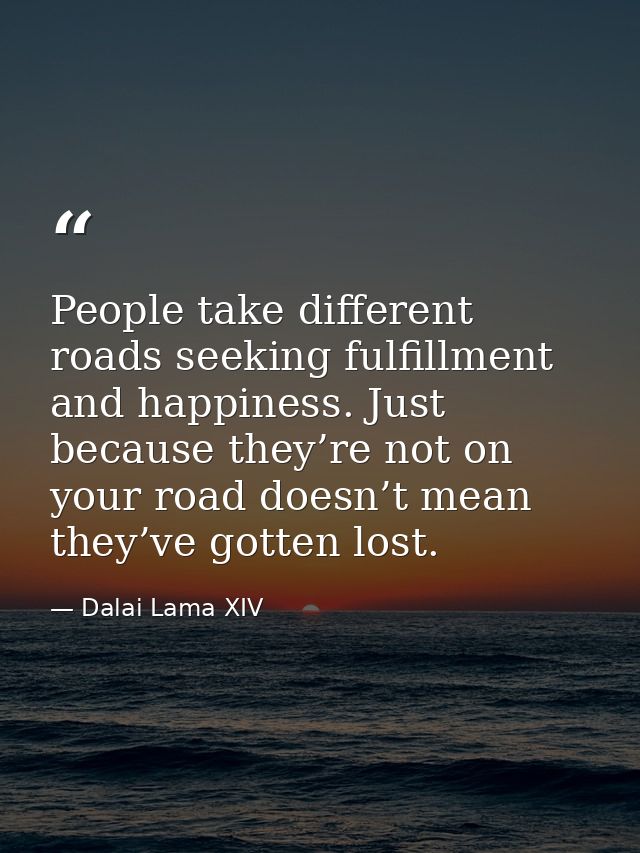 People take different roads seeking fulfillment and happiness. Just because they’re not on your road doesn’t mean they’v — Dalai Lama XIV