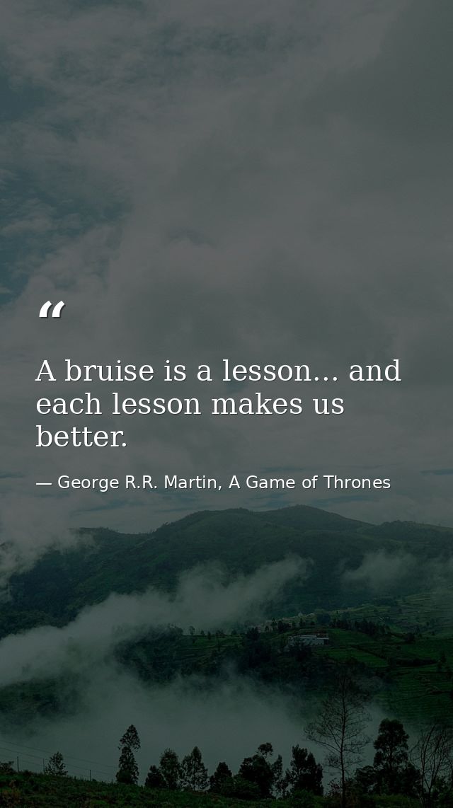 A bruise is a lesson... and each lesson makes us better. — George R.R. Martin, A Game of Thrones