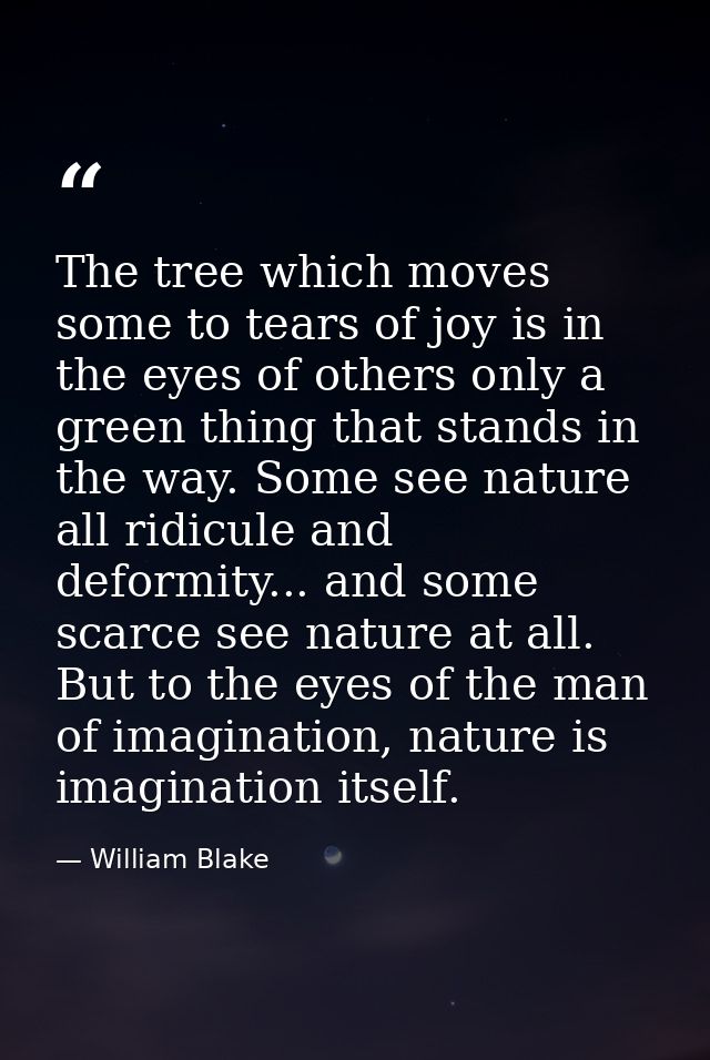 The tree which moves some to tears of joy is in the eyes of others only a green thing that stands in the way. Some see n — William Blake
