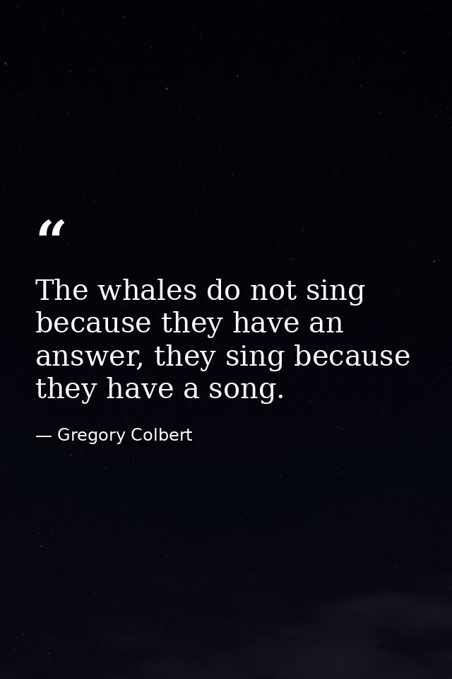 The whales do not sing because they have an answer, they sing because they have a song. — Gregory Colbert
