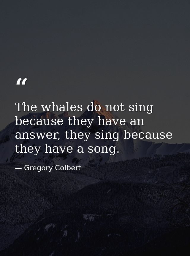The whales do not sing because they have an answer, they sing because they have a song. — Gregory Colbert