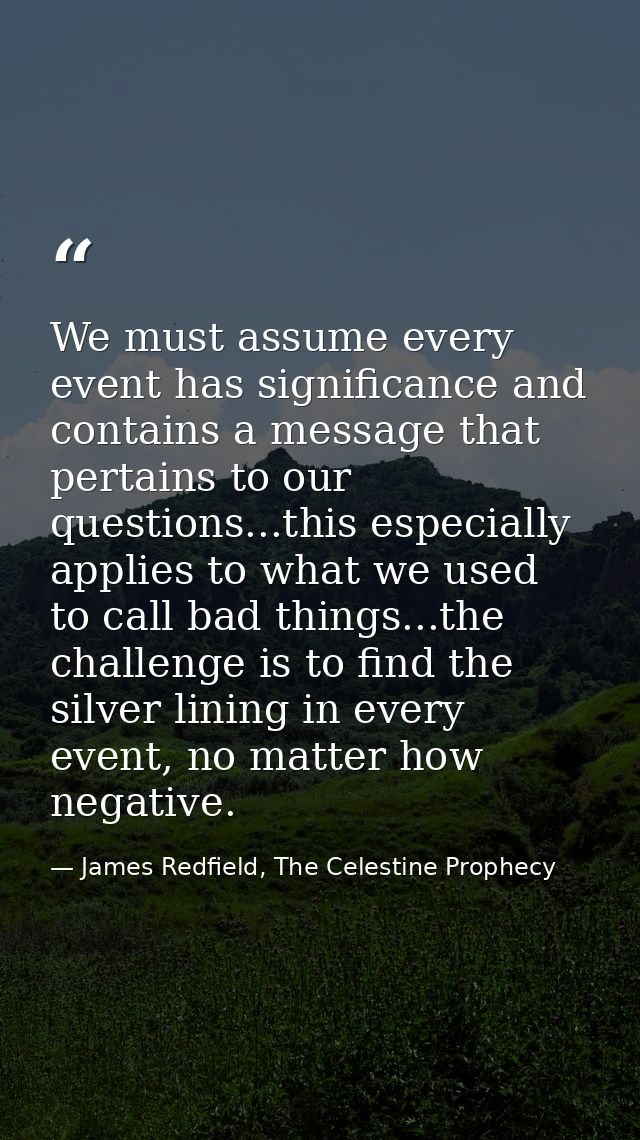 We must assume every event has significance and contains a message that pertains to our questions...this especially appl — James Redfield, The Celestine Prophecy