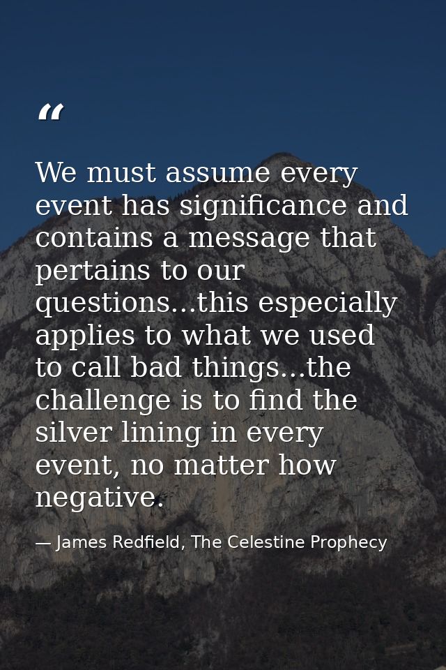 We must assume every event has significance and contains a message that pertains to our questions...this especially appl — James Redfield, The Celestine Prophecy