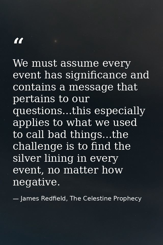 We must assume every event has significance and contains a message that pertains to our questions...this especially appl — James Redfield, The Celestine Prophecy