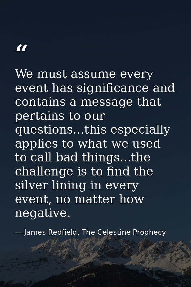 We must assume every event has significance and contains a message that pertains to our questions...this especially appl — James Redfield, The Celestine Prophecy
