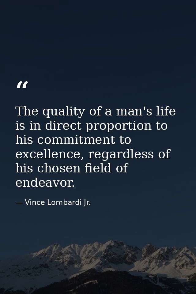 The quality of a man's life is in direct proportion to his commitment to excellence, regardless of his chosen field of e — Vince Lombardi Jr.