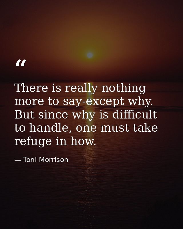 There is really nothing more to say-except why. But since why is difficult to handle, one must take refuge in how. — Toni Morrison