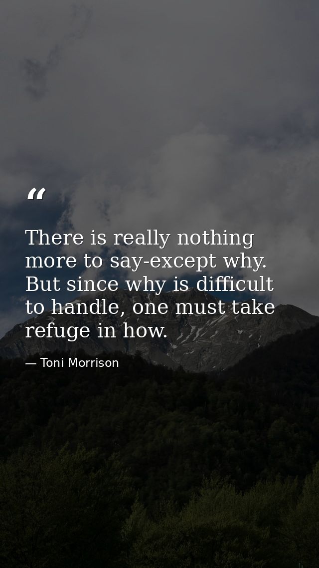 There is really nothing more to say-except why. But since why is difficult to handle, one must take refuge in how. — Toni Morrison