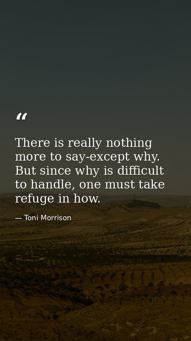 There is really nothing more to say-except why. But since why is difficult to handle, one must take refuge in how. — Toni Morrison