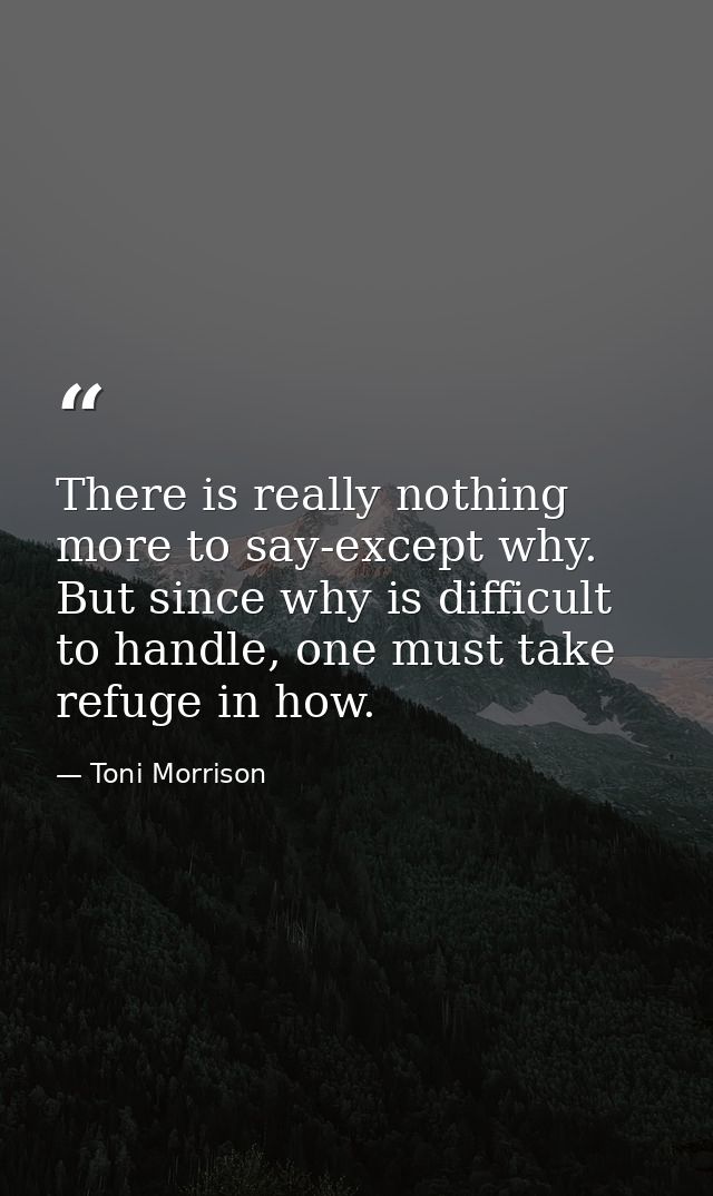 There is really nothing more to say-except why. But since why is difficult to handle, one must take refuge in how. — Toni Morrison