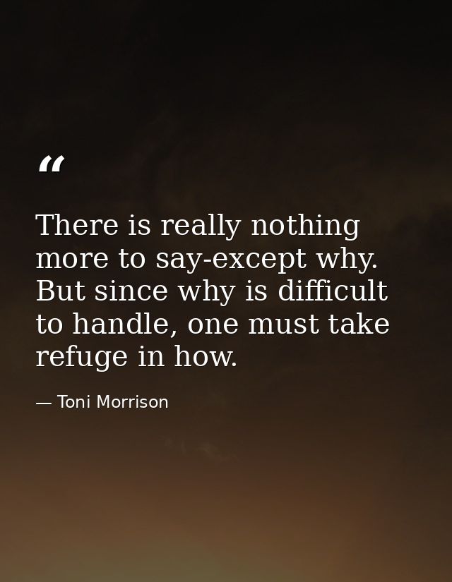 There is really nothing more to say-except why. But since why is difficult to handle, one must take refuge in how. — Toni Morrison