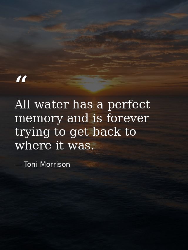 All water has a perfect memory and is forever trying to get back to where it was. — Toni Morrison