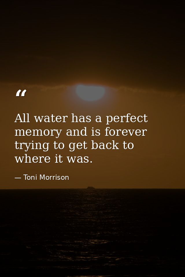 All water has a perfect memory and is forever trying to get back to where it was. — Toni Morrison