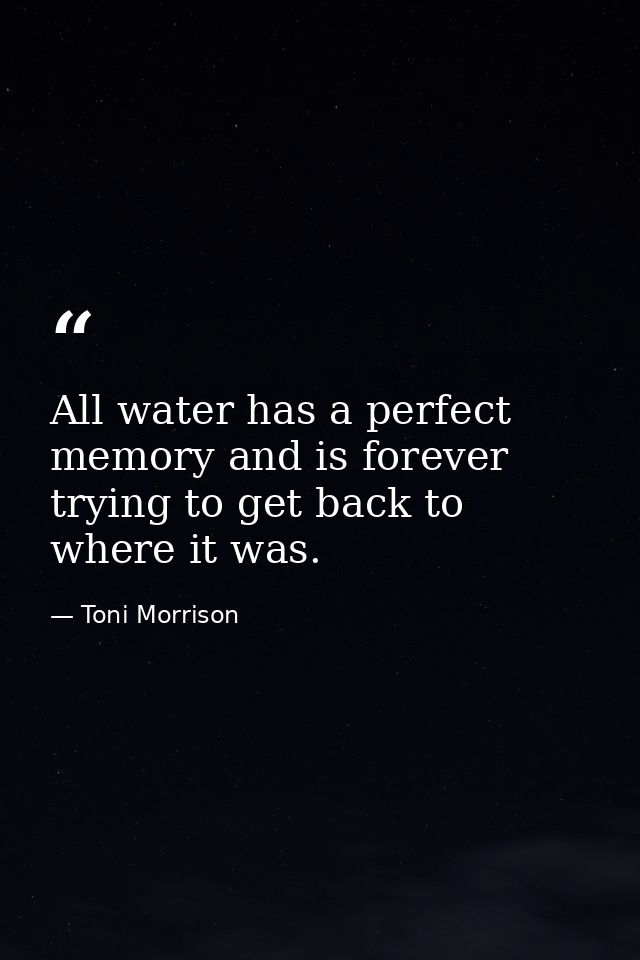 All water has a perfect memory and is forever trying to get back to where it was. — Toni Morrison